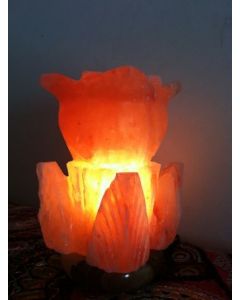 Fancy Double Flower Shaped Himalayan Salt Lamp Rock Crystal Unique Ionizer