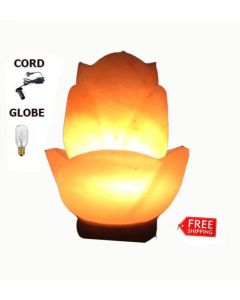 BEAUTIFUL DOUBLE FLOWER HIMALAYAN SALT CRYSTAL LAMP AIR PURIFY CORD & GLOBER