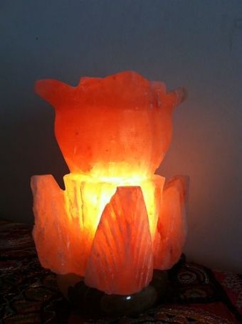 Fancy Double Flower Shaped Himalayan Salt Lamp Rock Crystal Unique Ionizer