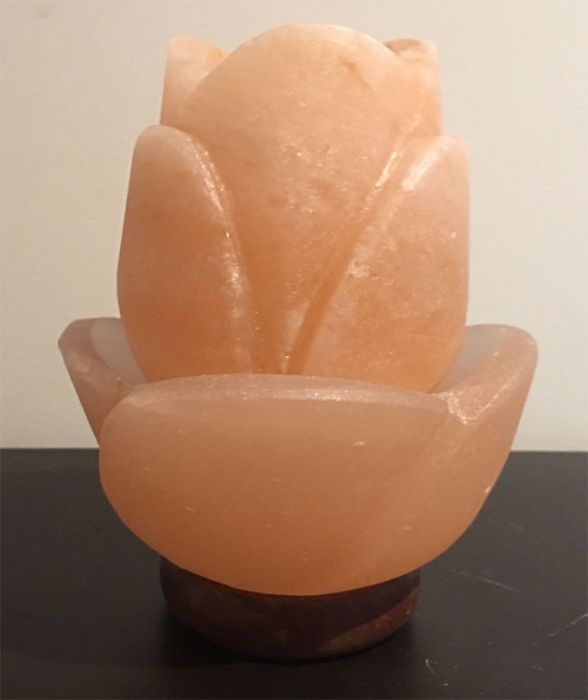 Air purifying himalayan salt crystals sales
