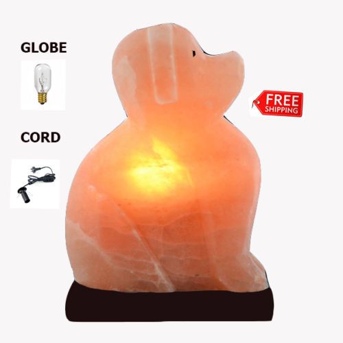 Dog shop shaped light