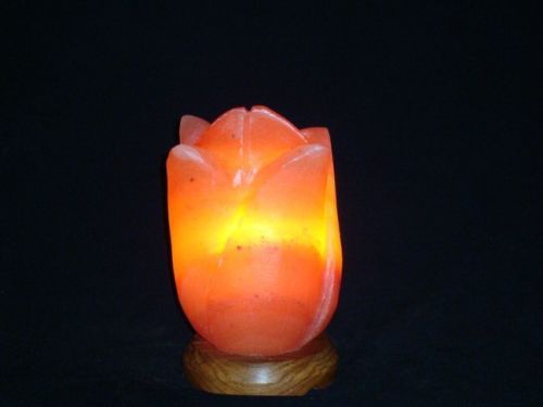 Evolution himalayan best sale salt lamp
